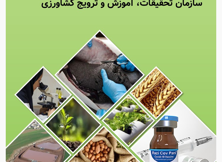 دسته ۵ گالری تصاویر