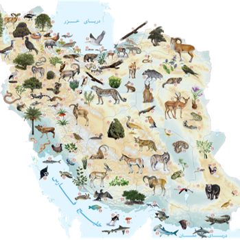زیر برنامه راهبردی تنوع زیستی و منابع ژنتیکی