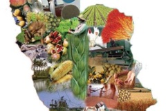 دسته ۵ گالری تصاویر