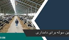 دسته ۵ گالری تصاویر