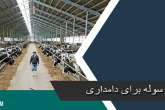 دسته ۵ گالری تصاویر