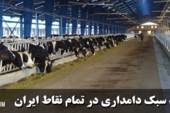 دسته ۵ گالری تصاویر