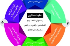 چشم انداز سازمان