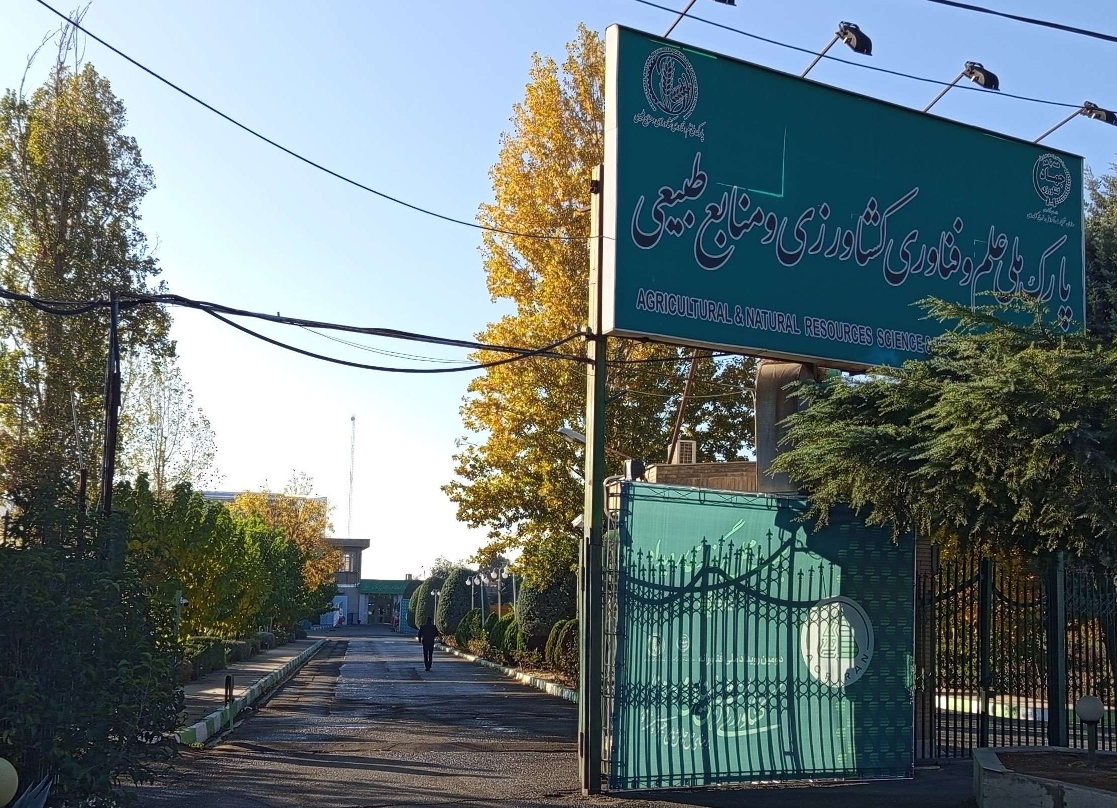 تصویر پارک