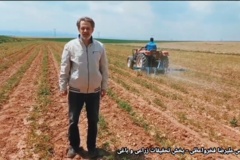 کشت انتظاری نخود