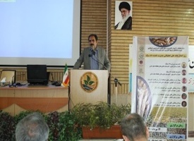 روز انتقال یافته های تحقیقاتی &quot; مدیریت تغذیه دام سبک&quot; در مرکز تحقیقات کشاورزی قزوین