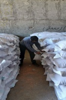 نمونه‌برداری از پارتهای بذری شرکت تعاونی روستایی