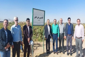 بازدید رئیس مؤسسه تحقیقات علوم باغبانی کشور از ایستگاه تحقیقاتی انگور