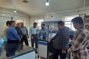 بازدید کارشناسی از بذور مادری تولیدی در استان قزوین؛ کشت پایدار در گرو بذر سالم