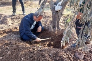 هم افزایی با موسسات مادری جهت رفع چالش های کشاورزی استان قزوین