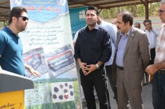 حضور دانش بنیان ها و واحدهای  فناور در نمایشگاه جانبی رویداد استانی تولید دانه روغنی کلزا