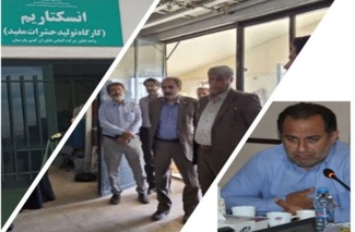 آشنایی مدیر کل دیوان محاسبات استان با یکی از واحد‌های فناور مرکز رشد کشاورزی قزوین