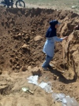 بررسی میدانی پرونده تغییر کاربری اراضی در منطقه الموت توسط پژوهشگر مرکز تحقیقات