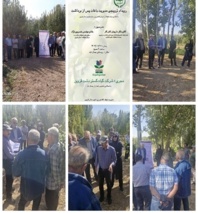 همگرایی با موسسات مادری با هدف نفوذ دانش در عرصه