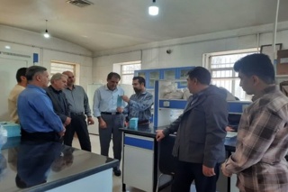 بازدید کارشناسی از بذور مادری تولیدی در استان قزوین؛ کشت پایدار در گرو بذر سالم