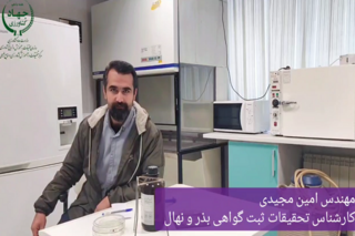 کلیپ  معرفی ارقام  جدید گندم دیم در قزوین