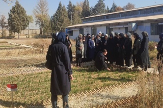 دوره آموزشی تولید و فرآوری گیاهان داروئی - ویژه زنان روستائی