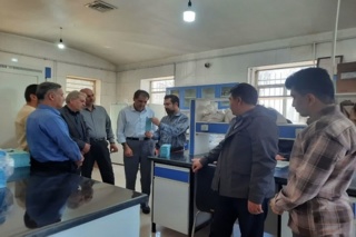 بازدید کارشناسی از بذور مادری تولیدی در استان قزوین؛ کشت پایدار در گرو بذر سالم