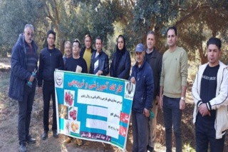 برگزاری کارگاه آموزشی و بررسی بیماری ها و آفات درختان زیتون منطقه طارم سفلی