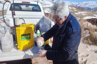 شاهد انگاری در محلول پاشی علیه دارواش روی درخت زالزالک