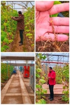 حضور در عرصه میـــــدانی