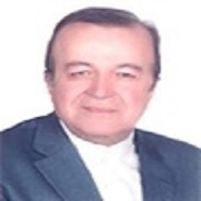 آقای مهندس صادق ارجمندی