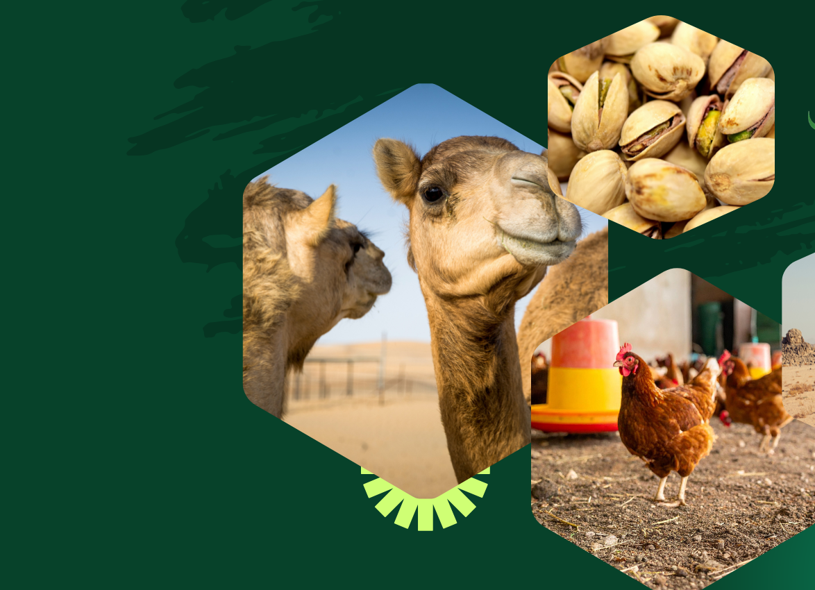 بنر بالای سایت (اصلی)