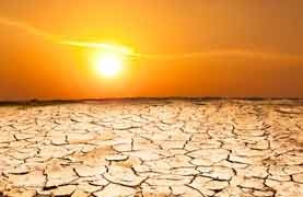 پروژه‌های تحقیقاتی