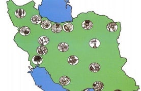 قطب علمی فلور ایران