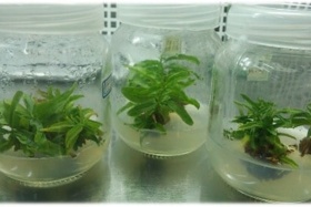 اهداف و وظایف زیست و فناوری