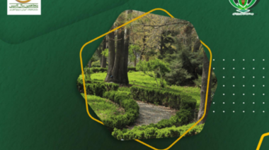 خبرنامه شماره 537