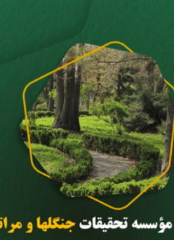 خبرنامه شماره 537