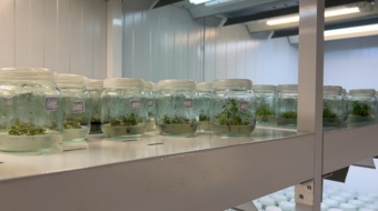 نگاهی به بخش تحقیقات زیست‌فناوری منابع طبیعی