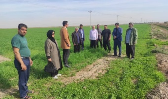 دستیابی به پتانسیل عملکرد گندم در اراضی شهرستان شوشتر