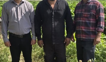 پایش نیترات و عناصر سنگین در مزارع پیاز و سیبزمینی شهرستان اندیمشک