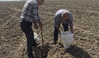 نمونهبرداری در قالب طرح پایش خاکهای کشور در شهرستان کرخه