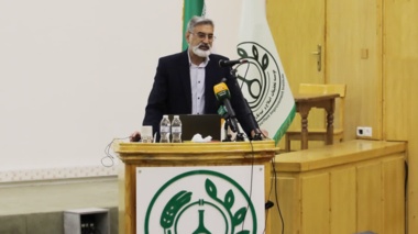 افزایش سهم ارقام جدید گندم در طبقه گواهی شده از ۳ درصد به ۵۷ درصد