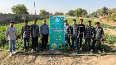 برداشت موفقیت‌آمیز پروژه آموزش همراه با تولید لوبیاچشم‌بلبلی در تابستان ۱۴۰۴
