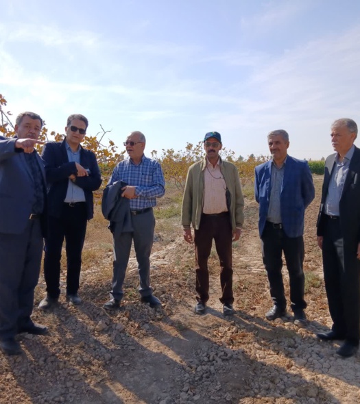 بازدید رئیس پژوهشکده پسته کشور از ایستگاه تحقیقات کشاورزی پسته دامغان