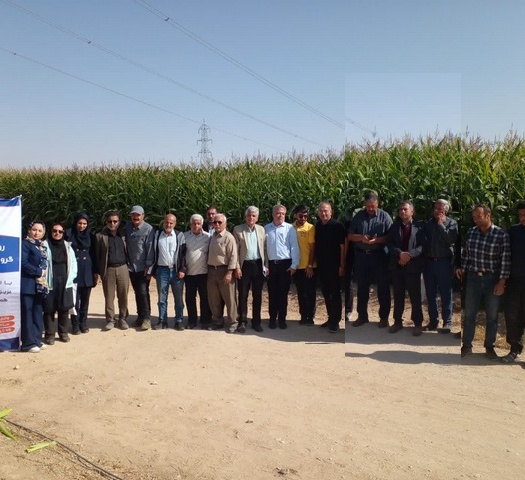برگزاری روز مزرعه ارقام ذرت در مرکز سمنان (شاهرود)