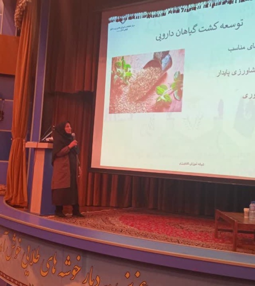 دوره آموزشی - ترویجی «کاشت و مدیریت گیاهان دارویی» در میامی برگزار شد