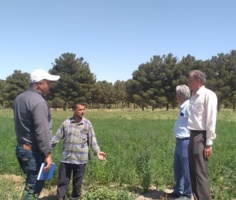 مدیریت بهینه در مصرف آب با ارتقای روشهای آبیاری