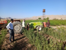 پایش و ارزیابی نهالستان ایستگاه تحقیقات کشاورزی بسطام