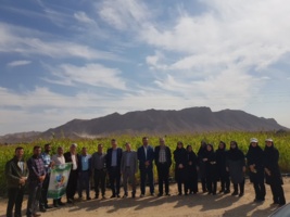 برگزاری نهمین کاروان ترویج بهره‌وری ویژه الگوی کشت محصولات زراعی