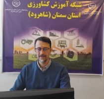 تأکید بر نقش کیفیت گندم نانوایی در اقتصاد و سلامت جامعه