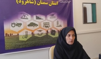 بررسی ساختار گل و میوه در تیره کلم با تمرکز بر ریخت‌شناسی و فرمول گل