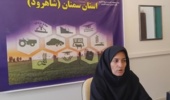 بررسی ساختار گل و میوه در تیره کلم با تمرکز بر ریخت‌شناسی و فرمول گل