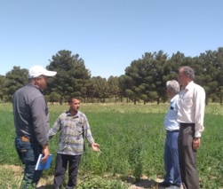 مدیریت بهینه در مصرف آب با ارتقای روشهای آبیاری