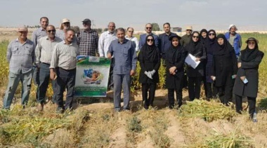 نهمین کاروان ترویج بهره‌وری با محوریت الگوی کشت ملی محصولات زراعی در شهرستان سرخه برگزار شد