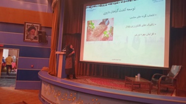 دوره آموزشی - ترویجی «کاشت و مدیریت گیاهان دارویی» در میامی برگزار شد